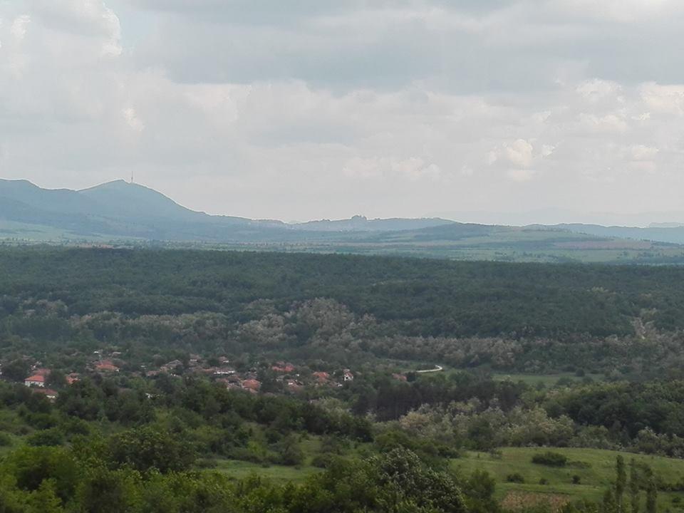מלון Rabisha Complex Magura מראה חיצוני תמונה